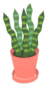 Various home plants flat vector collection